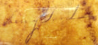 Henry Ford autograph