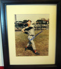 Ted Williams autographed photo
